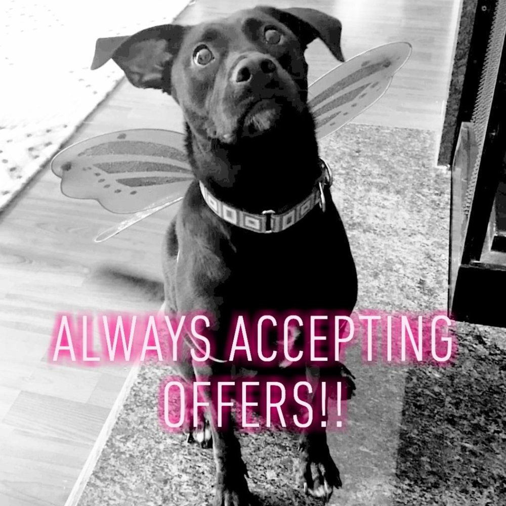 All Reasonable Offers Considered!